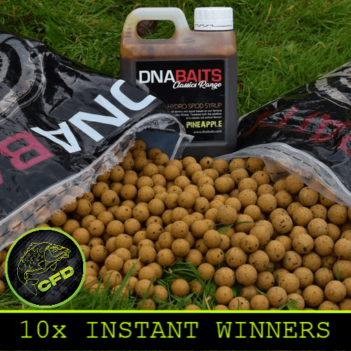 Win Kg Dna Baits Bundles Instantly Carp Fishing Draws