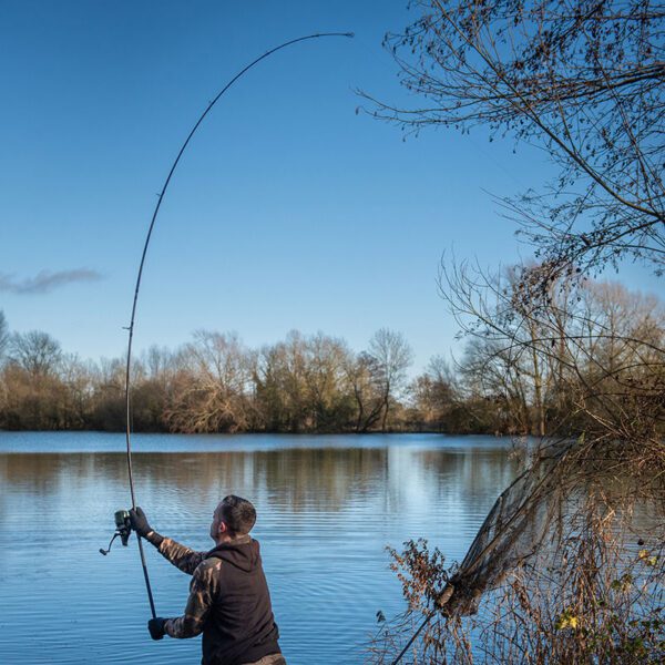 🩶🎟️ 3x Fox EOS X Carp Rods Or £140 - Image 3